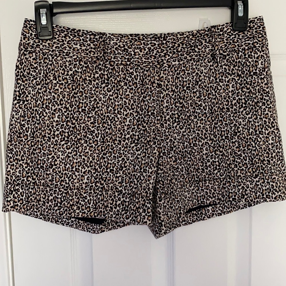 White House Black Market Leopard shorts